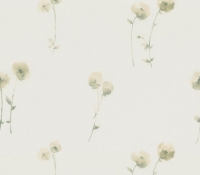 poppy-8054-131