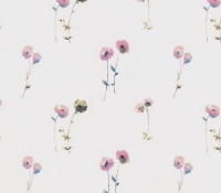 poppy-8054-853