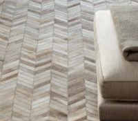 gaucho_chevron2