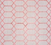 koko_coral