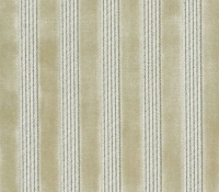 ned-50
