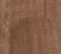 spring-taupe-5265