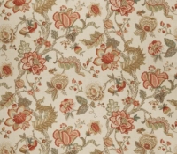 and-still-coral