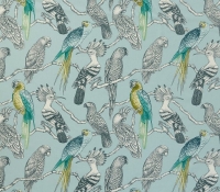 aviary_reef_