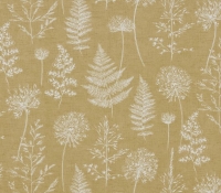 chervil_mustard_1_1