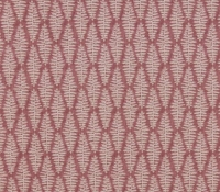 fernia_rosa_1