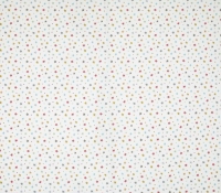 multi_stars_multi