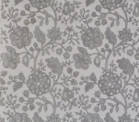 1563-917-fabienne-silver-lining