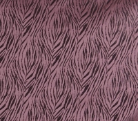 1739-324-tiger-berry