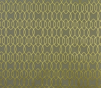 3594-627-cassandra-palm