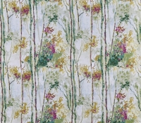 5028-296-silver-birch-orchid