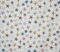 5032-030-starfish-pebble