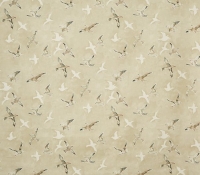 5033-504-seagulls-sand