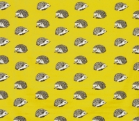 5042-569-hedgehog-jonquil
