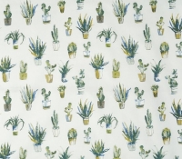 5050-281-cactus-fennel