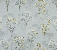 5697-521-yarrow-maize