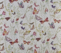 8602-211-admiral-blossom