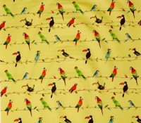 8634-575-toucan-talk-zest