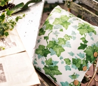 hedera