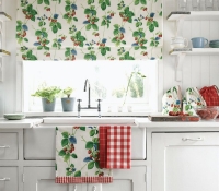 summer-strawberries