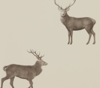 elysian-deer-216618