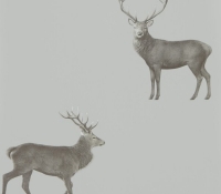 elysian-deer-216619