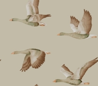elysian-geese-216609