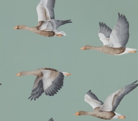 elysian-geese-216610