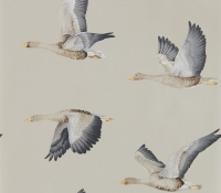 elysian-geese-216611