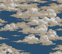 elysian-silvi-clouds-216602