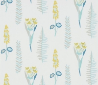 papavera-floral-214771