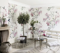 waterperry-magnolia-216306