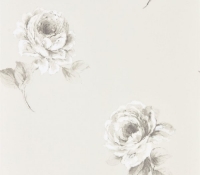 waterperry-rosa-216276