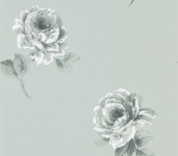 waterperry-rosa-216278
