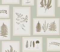 woodland-fern-215715
