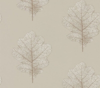 woodland-oak-215698