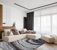 modern-design-rug-gabrielle-718j-q13-1